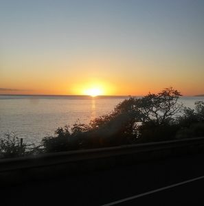 Meet your Posher, Rosemary